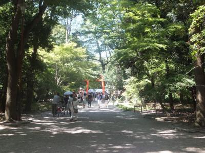 下鴨神社　　糺の森