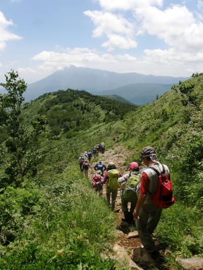 八幡平の雄大な景色と高山植物を愛でながら歩く