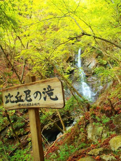 山登りはじめました！＜毛無山＞