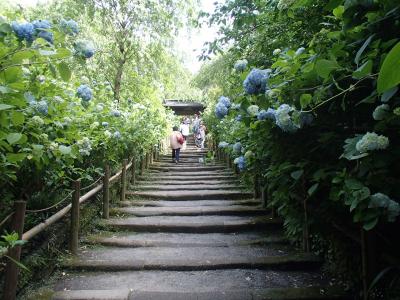 満福寺～円覚寺（義経から始まる苦手分野の歴史散歩２）