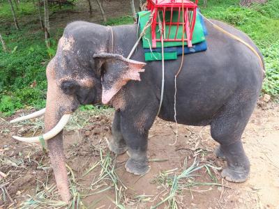 ランタ島のリゾートで過ごす 2日目