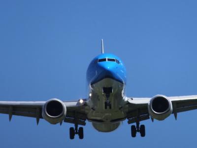 こんなに近くで飛行機((((;゚Д゚)))))))