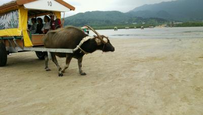 夫婦旅行】沖縄３rd☆３日目～西表