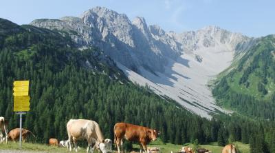 Tiroler Zugspitz Arena で滞在型のんびりハイキングの旅 ⑦ Biberwierで初リュージュ