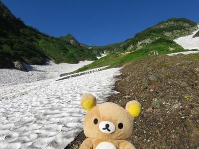 白馬鑓温泉から猿倉下山クマ（白馬三山制覇クマ）