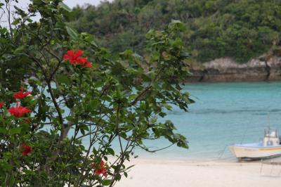 マイレージ特典で石垣島まで飛んできます(前編)