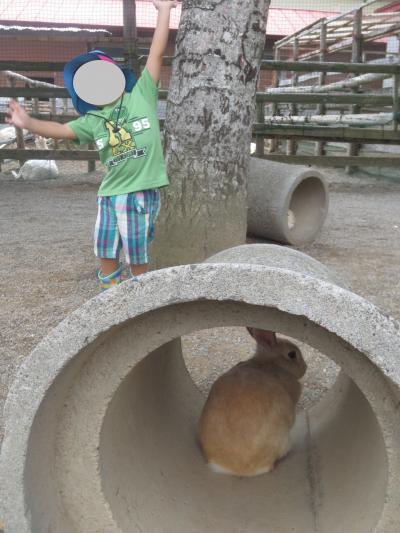 夏休みの思い出③　＊弥生いこいの広場＊