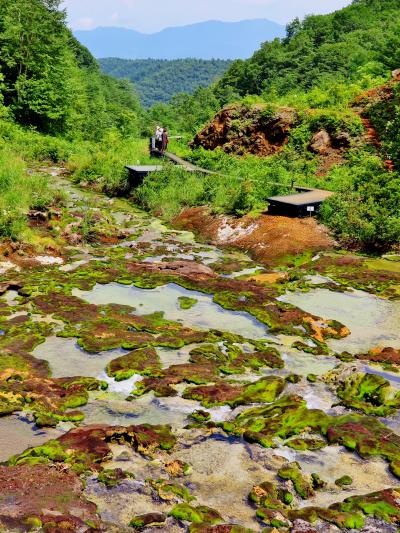 中之条1/4　群馬県最奥の秘境：六合地区へ　☆松戸発トラピックスに初登場