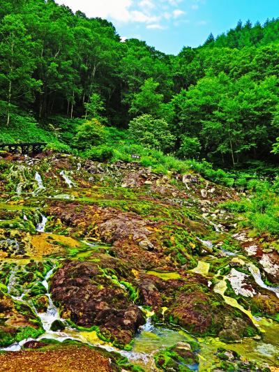 中之条2/4　穴地獄のチャツボミゴケ群落地　☆酸性泉に育つ天然記念物