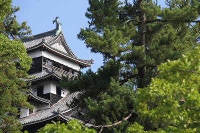 2015年7月　島根・鳥取・兵庫旅行　第三日目-⑦　松江城