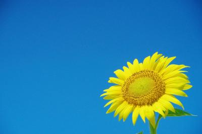 青い蒼い夏!山陽~山陰