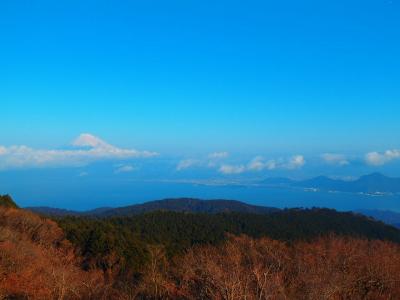 山登りはじめました！＜登り納め達磨山＞