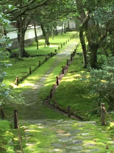 大人の京都　夏　…食い倒れの旅