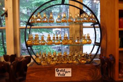 2015.7 ディズニークルーズで行く感動のアラスカ⑥…最初の寄港地ゴールドラッシュで栄えたＳＫＡＧＵＷＡＹで砂金採り