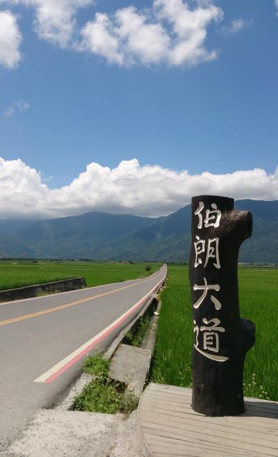 台東　レンタサイクル借りまくり・走りまくりの旅2015　金城武になって来た編。