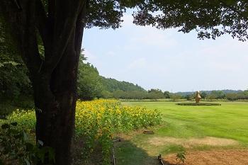 DIC川村記念美術館 画家たちのひまわり 2015