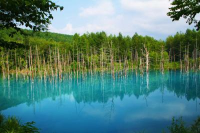 オープンしたばかりのコテージに泊まる富良野・美瑛3泊4日(0歳6か月子連れ)