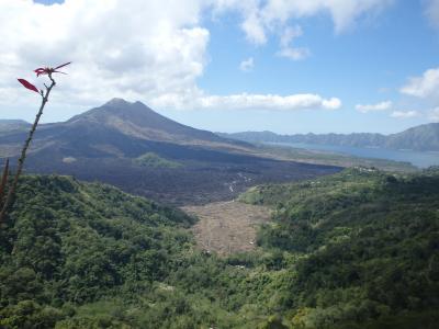 ヌサドゥア2泊+ウブド2泊の旅（後編）