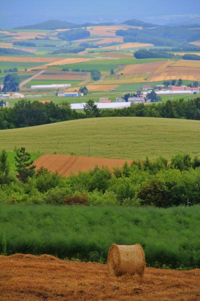 ’１５夏　北海道　曇り空の日々 NO.2 美瑛を観光、そして秘境の様な温泉、十勝岳温泉凌雲閣宿泊