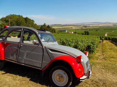 エールフランス航空羽田便で行くフランスの旅　０４：シャンパンとブドウ畑に囲まれて