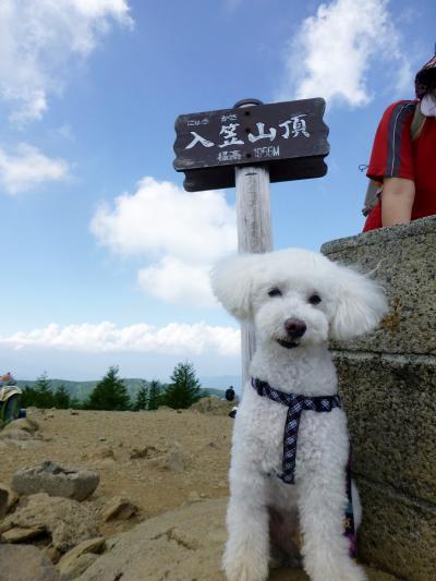ワンコと一緒にトレッキング　富士見パノラマリゾート　2　　～入笠山頂とお花畑　～