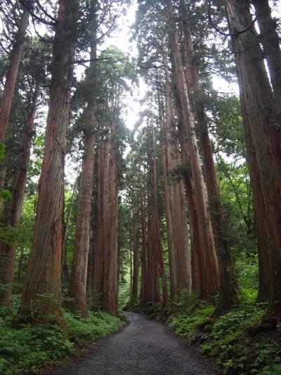 戸隠神社奥社へ