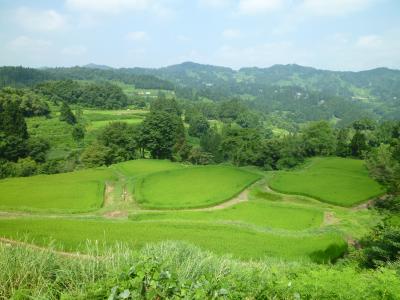 にほんの里100選「新潟県松代の棚田」