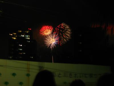 ’１５　隅田川花火大会　通りがかりにちょっとだけ見る