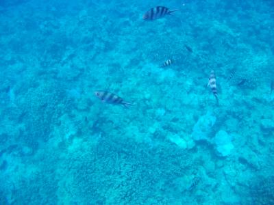 父娘旅行・・・・グアム～３泊５日