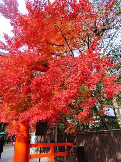 姉妹旅行・・・・関西～２泊３日～２日目