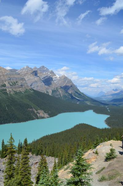 ２０１５年・カナダの旅（３）～バンフ国立公園