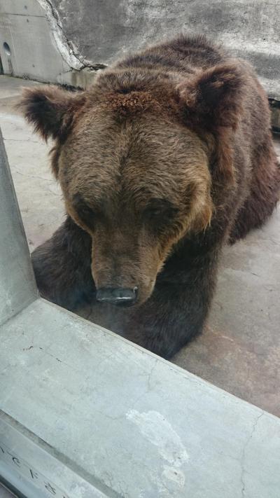 2015夏休み 猛暑を避けて北海道へ！まずは子連れで釧路を楽しもう～釧路こども遊学館、釧路動物園～