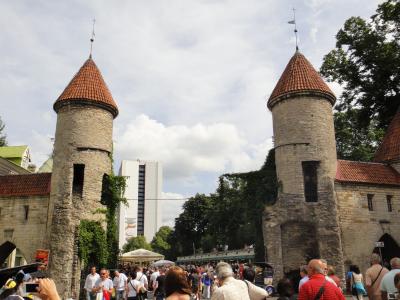 セーターで作った壁？！ではありません～１４年夏バルト３国周遊８月１１日その２タリン