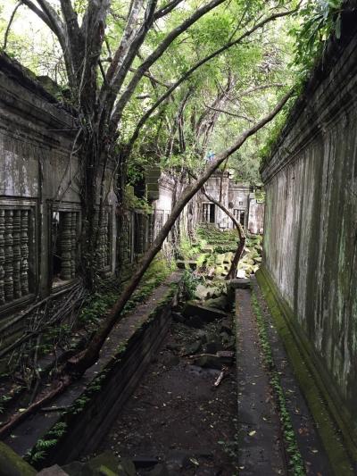 ベンメリア遺跡天空の城ラピュタのモデルになった遺跡