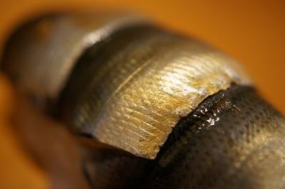 20150813 築地 終電車で寿司大さんに並んでみたり… → 高はしさん、さわらの生姜煮