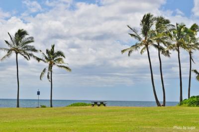 【20年ぶりのHawaii旅行】5日目・ノースショア