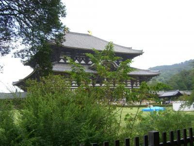 数十年ぶりの奈良の大仏さま見学旅