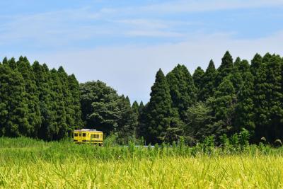 ムーミン列車が走り、不思議な魅力いっぱいの「いすみ鉄道」（千葉）