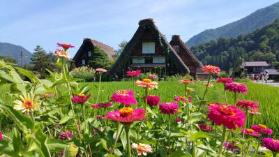 世界遺産・白川郷  (30周年記念旅行その1)