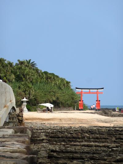 A business trip to Miyazaki, 2013