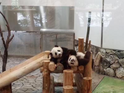 和歌山周遊の旅  二日目