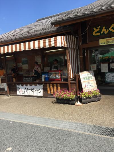 山の空気を感じる