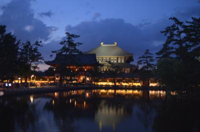 鹿に会いに奈良へ　～薬師寺・奈良公園・東大寺(万灯供養会)～　