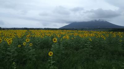 薩摩半島周遊記
