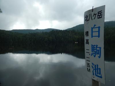 北八ヶ岳の白駒池・ニュウ・中山・高見石を歩く