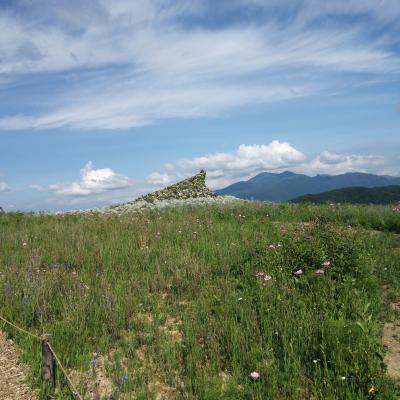新しくなった旭川駅と北彩都ガーデン~ラーメン蜂屋~大雪森のガーデンへ