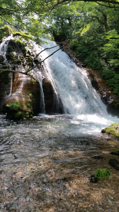 大分県日田経由～大観峰～竹田～筋湯～釣り堀～長者原～男池