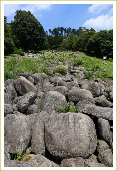 Solitary Journey ［1626］ 直径１ｍ～７ｍのでっかい岩がゴロゴロしているのです。＜国の天然記念物‘久井の岩海’ごうろ＞広島県三原市