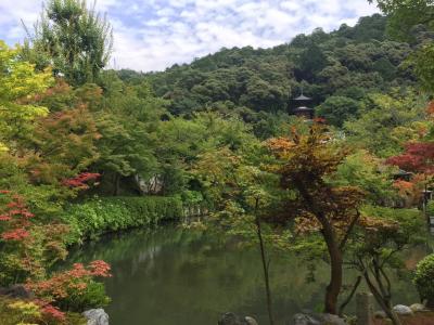 夏の京都気ままな一人旅part1