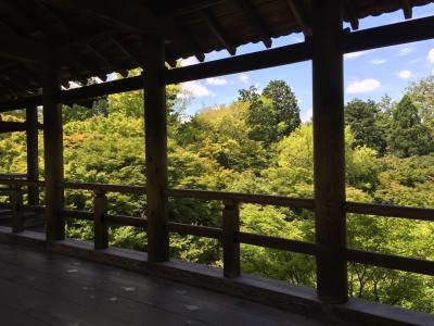 夏の京都気ままな一人旅part2